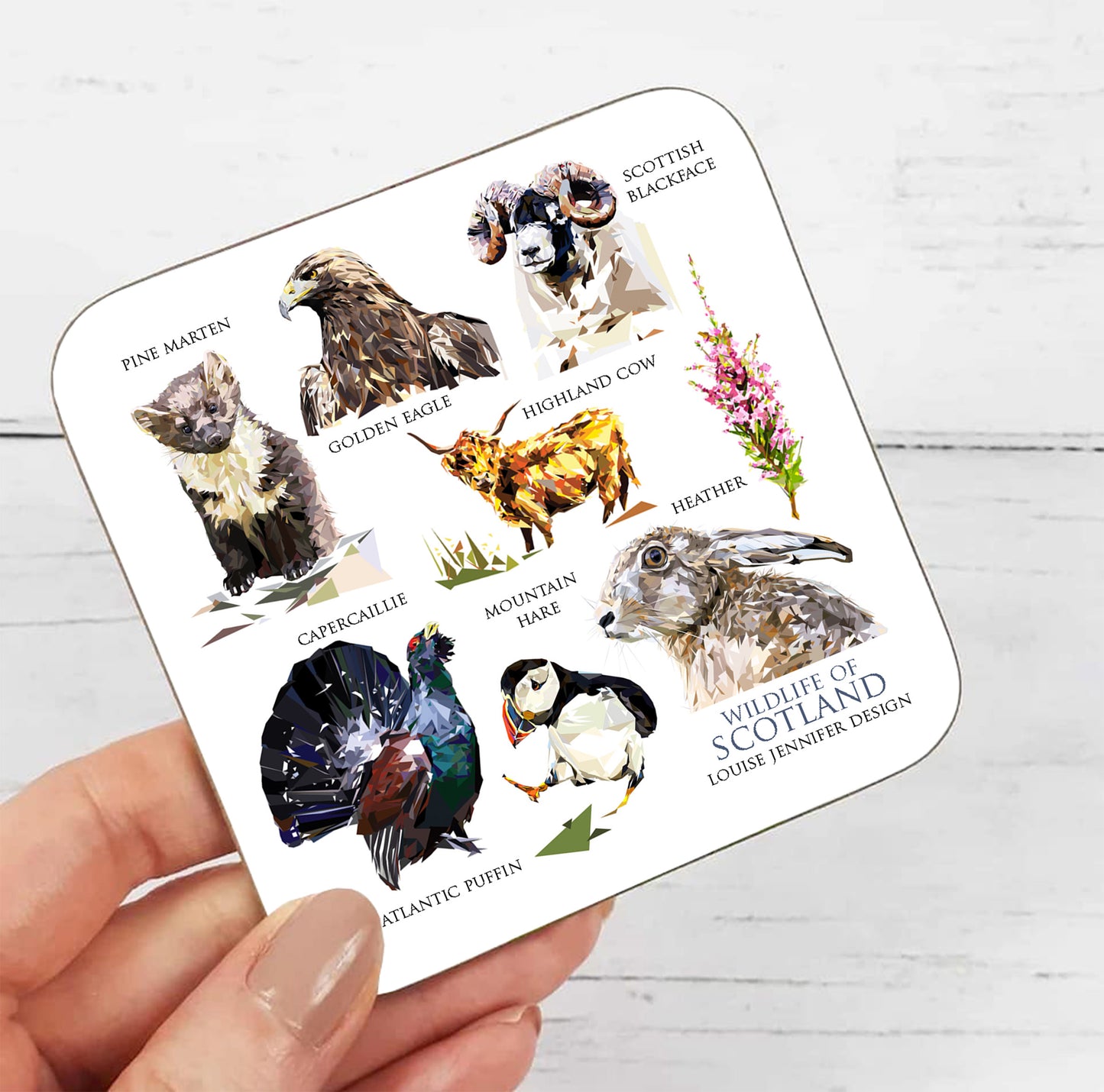 Wildlife of Scotland drinks coaster | Geometric illustration | Scottish highlands