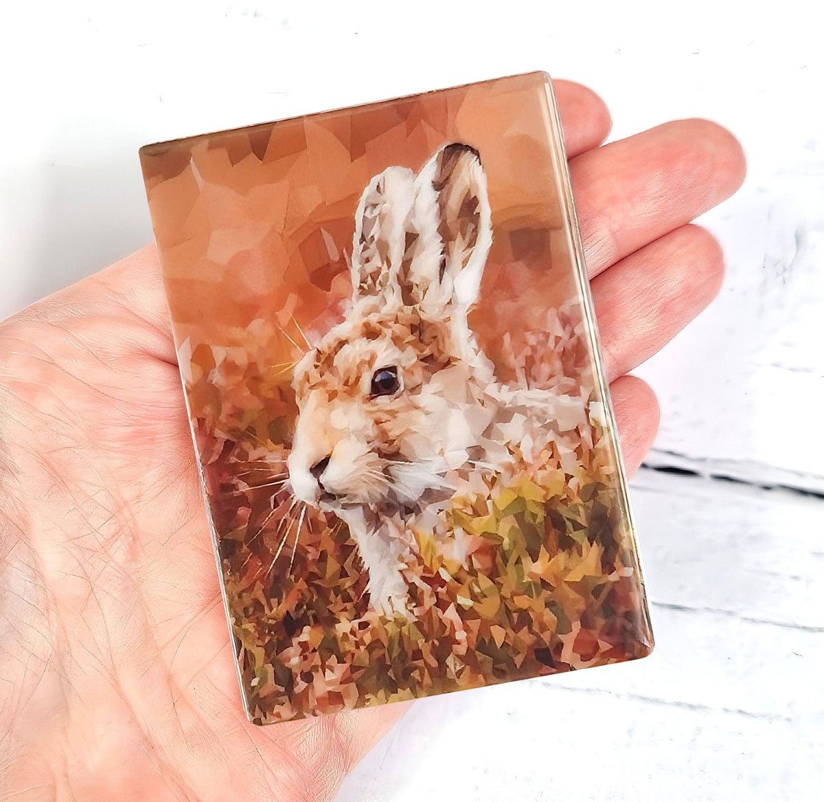 Mountain hare illustration | Ceramic fridge magnet | Countryside animals