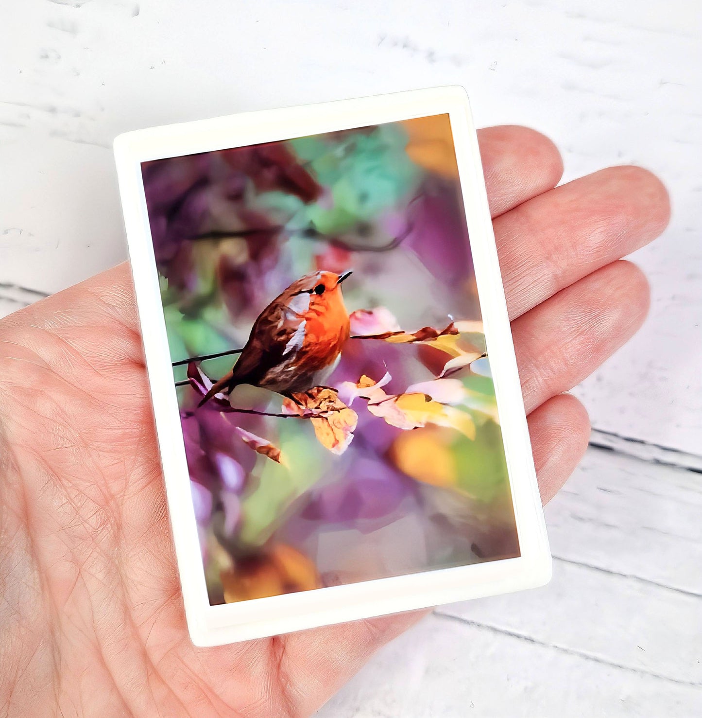 ROBIN REDBREAST bird illustration | Ceramic fridge magnet *NEW