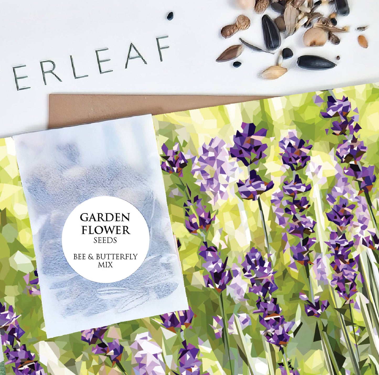 Lavender flower illustration | Flower seed greeting card | Art card