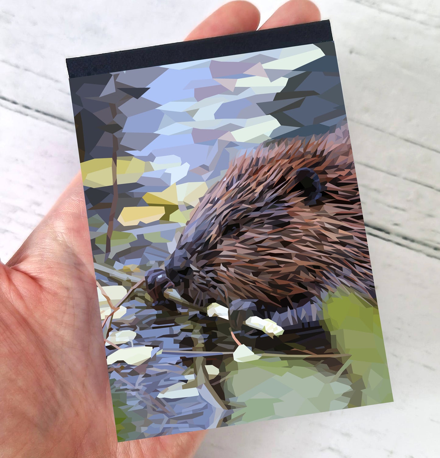 Beaver illustration | A7 mini notebook | British wildlife