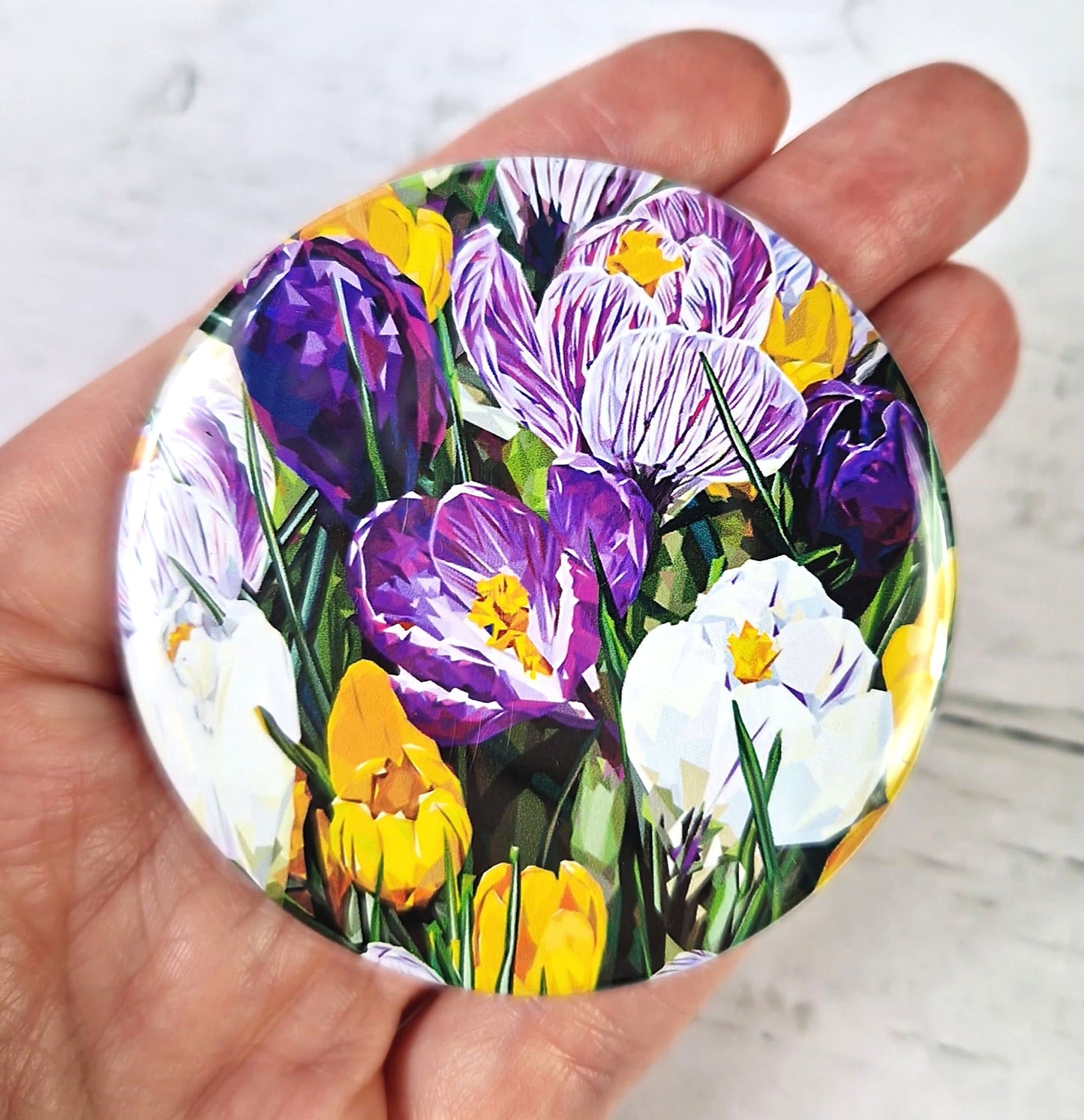 CROCUS magnet