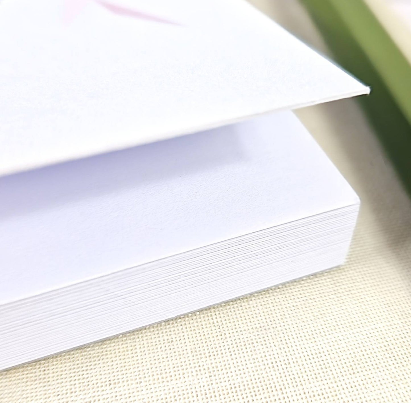 GOLDCREST illustrated mini notebook