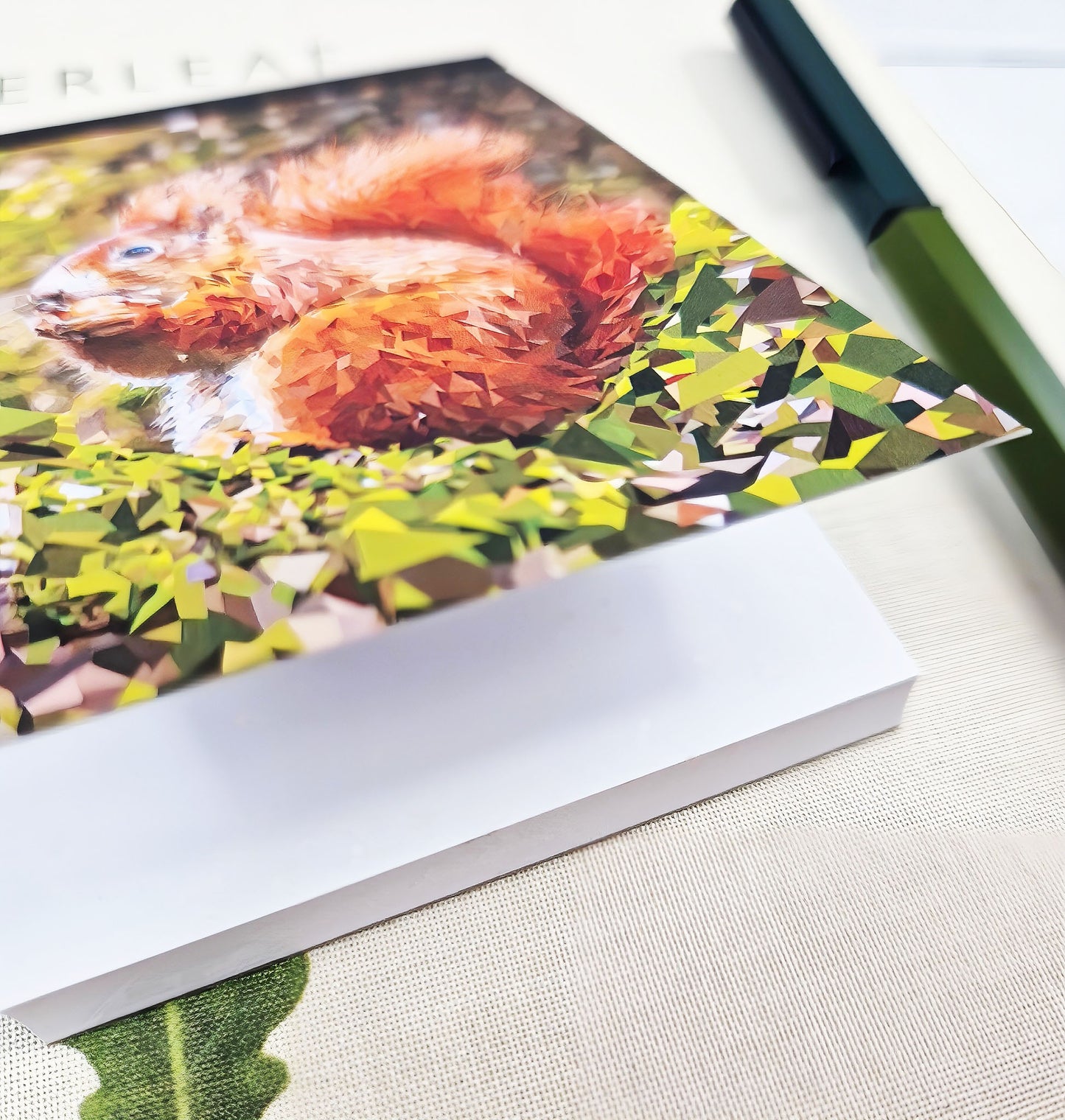 RED SQUIRREL illustrated mini notebook *NEW