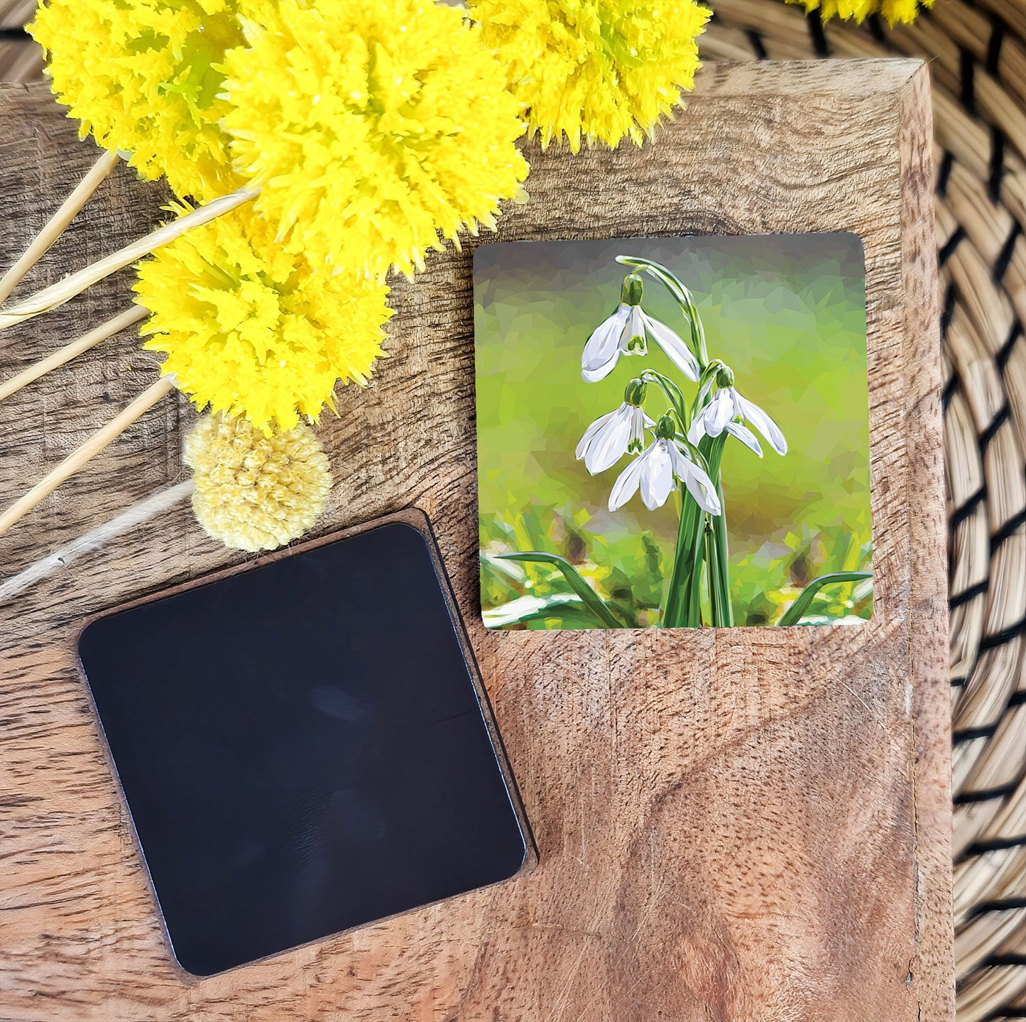 SNOWDROPS magnet