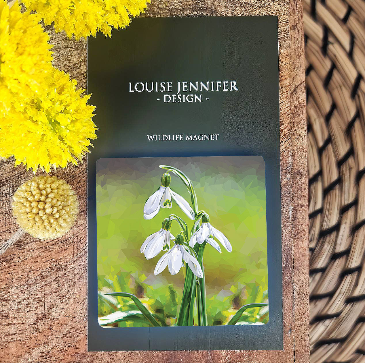 SNOWDROPS magnet