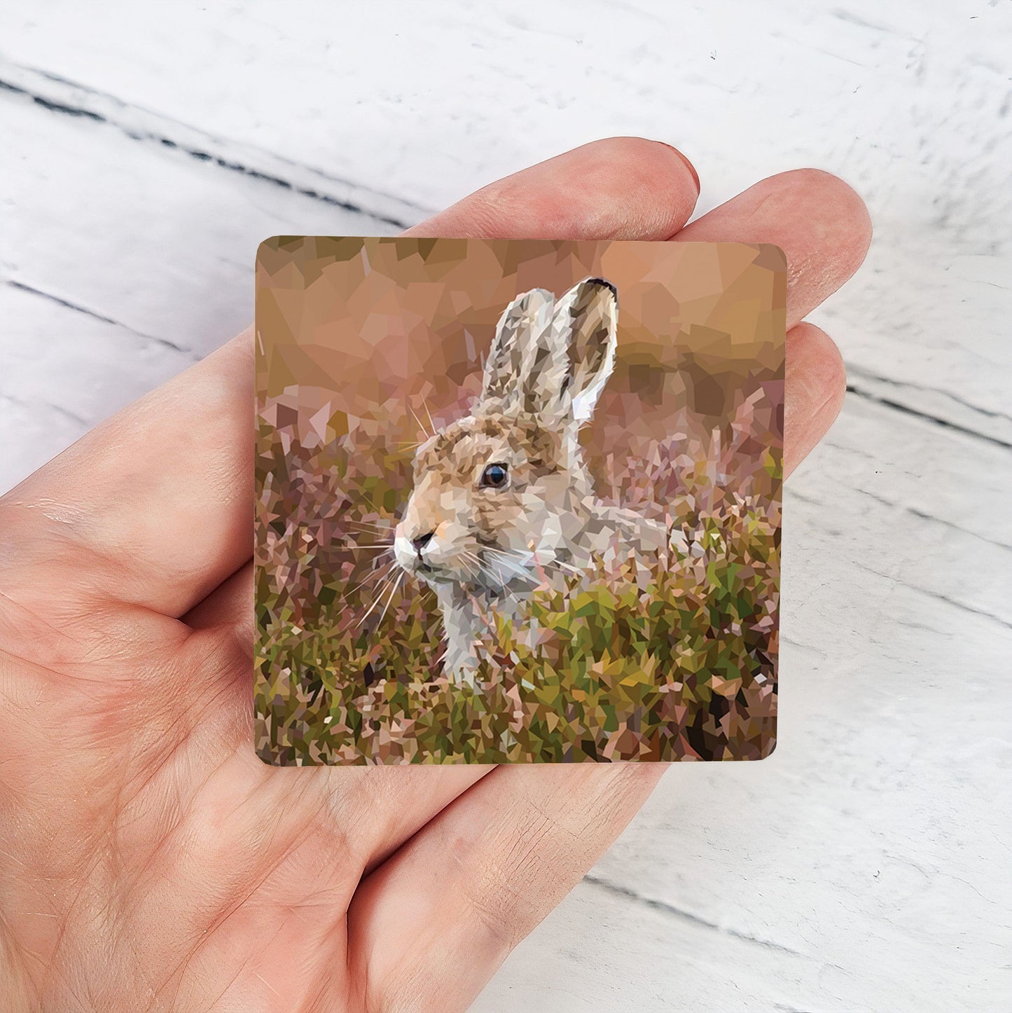 MOUNTAIN HARE magnet