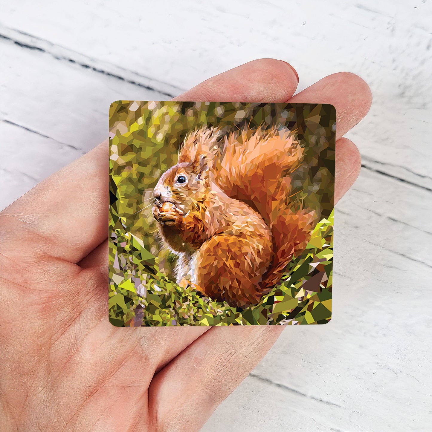 RED SQUIRREL magnet