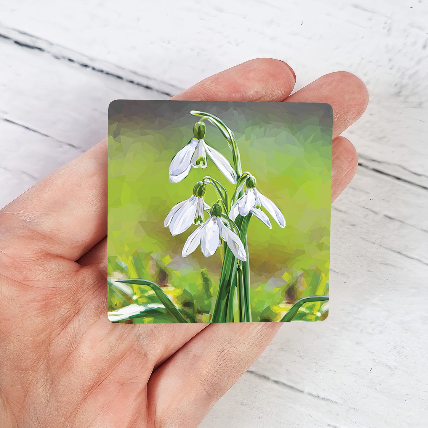 SNOWDROPS magnet