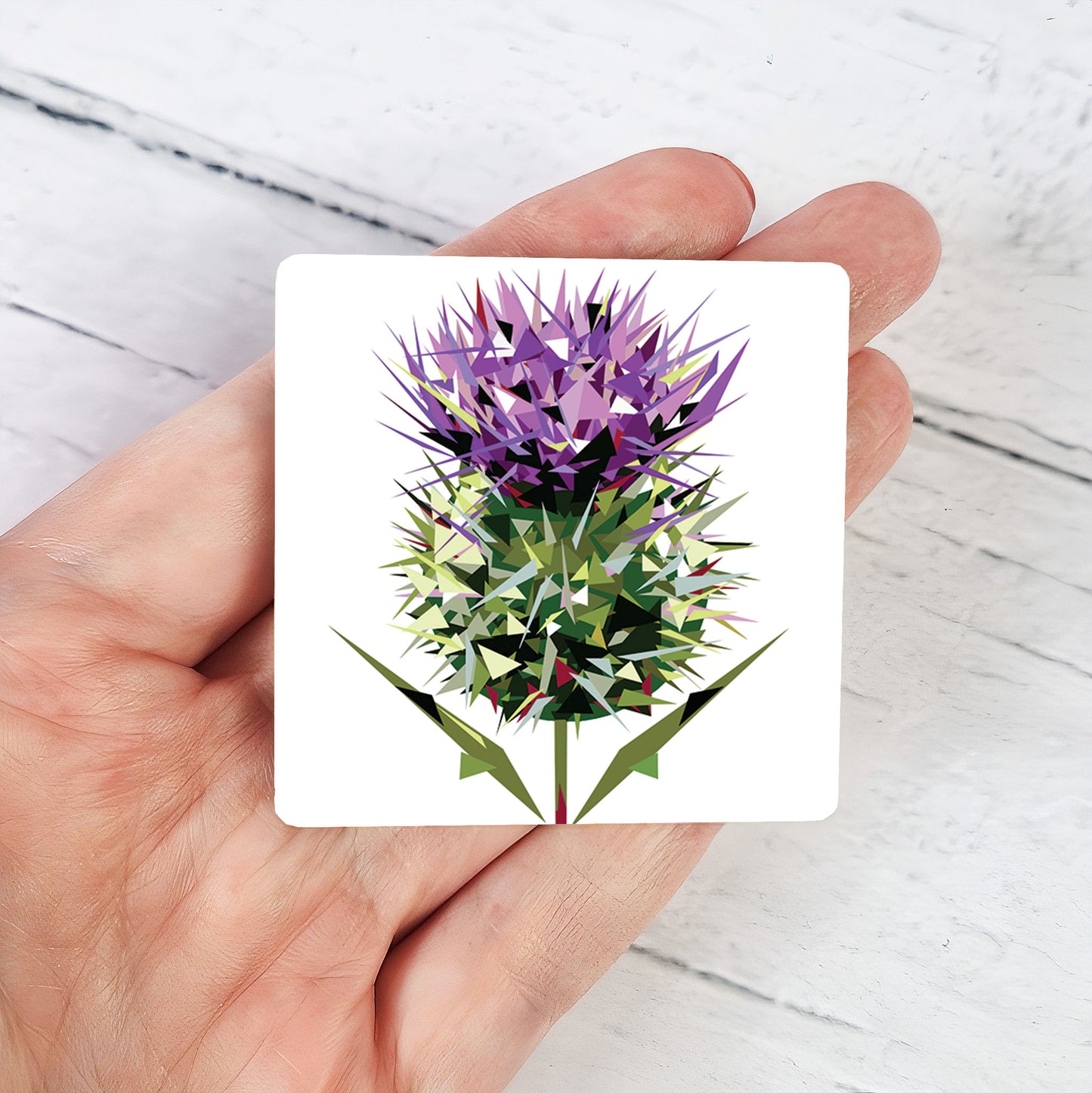 SPEAR THISTLE magnet