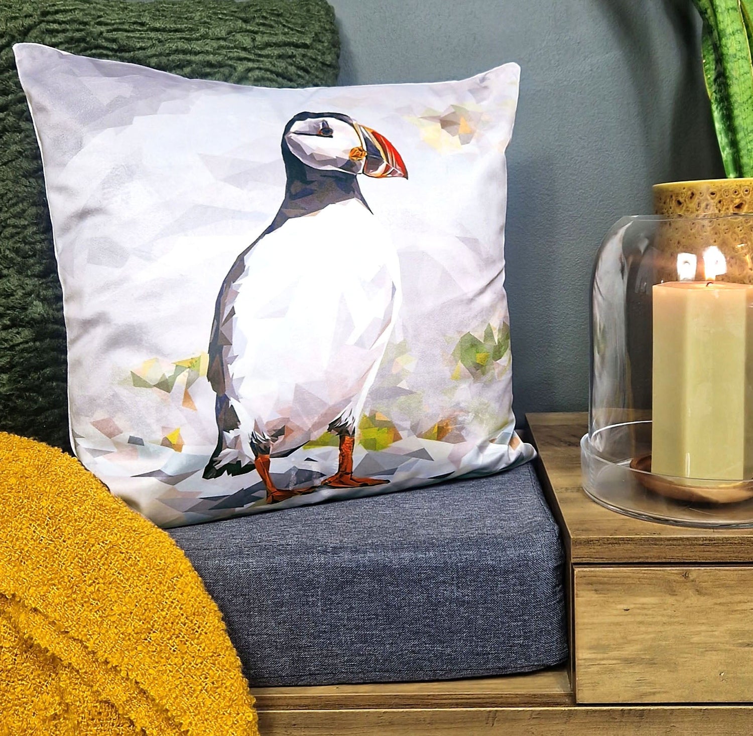 Velvet Cushions
