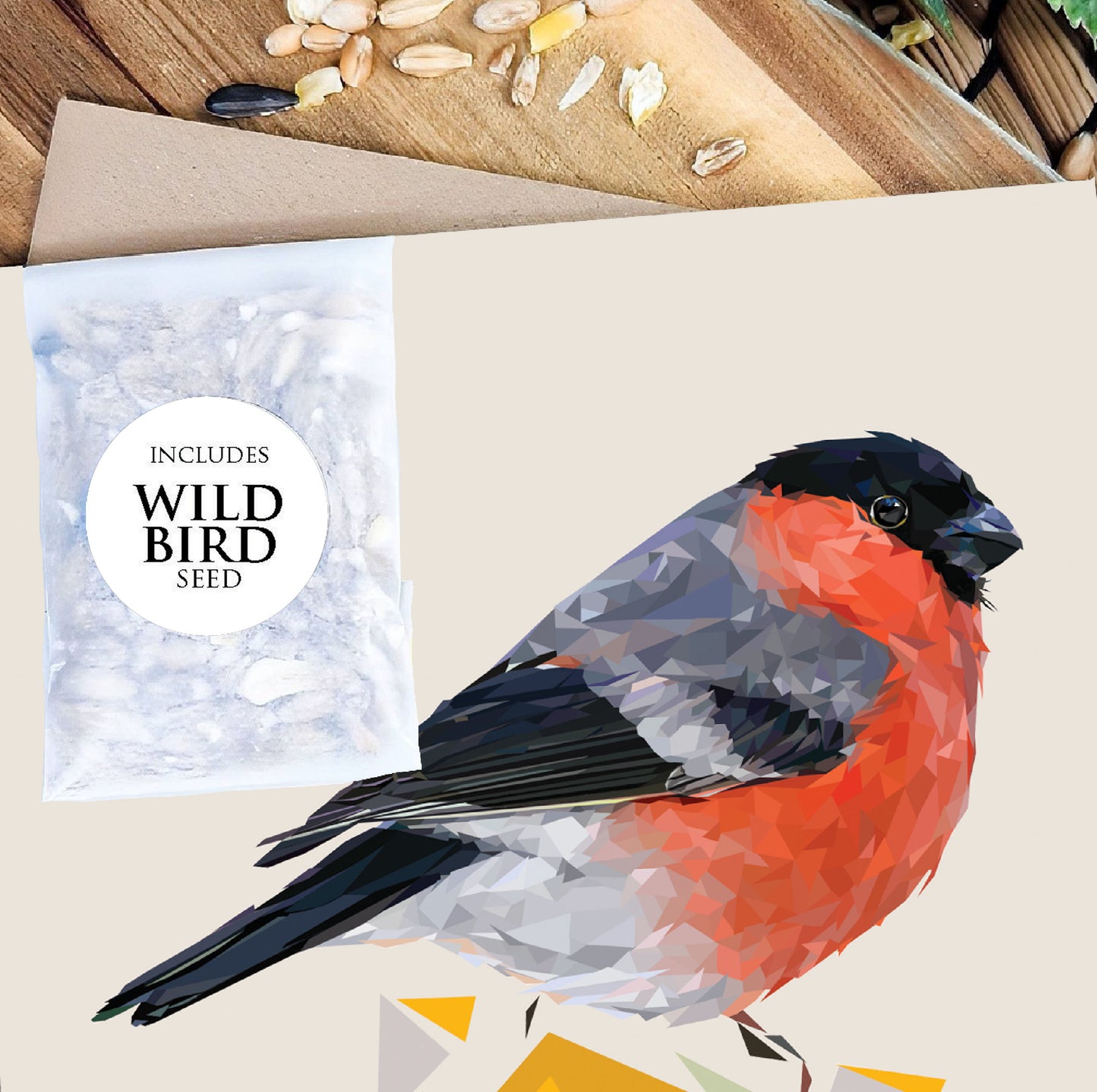 Bullfinch bird illustration | Bird seed greeting card | Art card