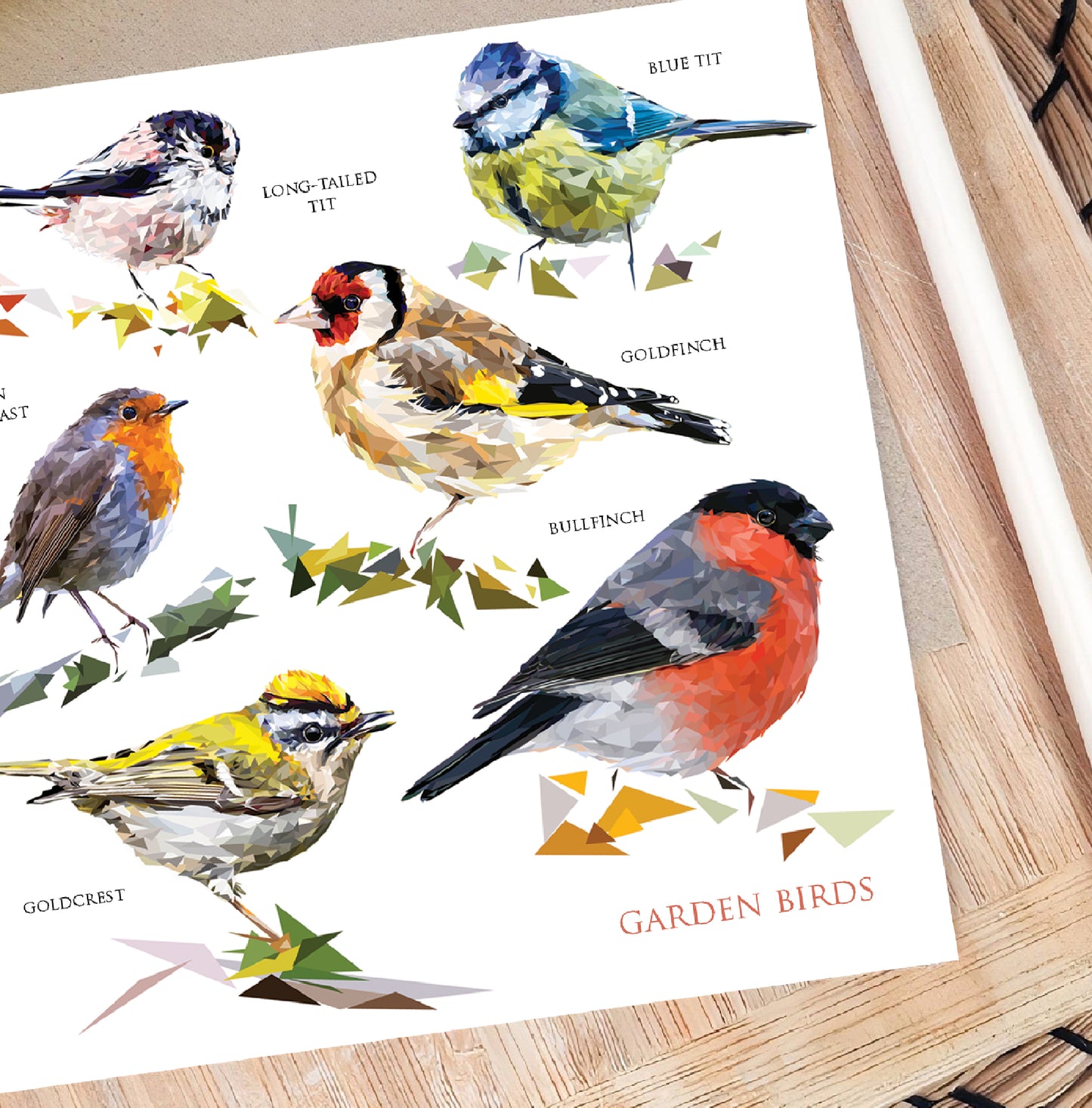 Garden birds illustration | Blank greeting card | Art card