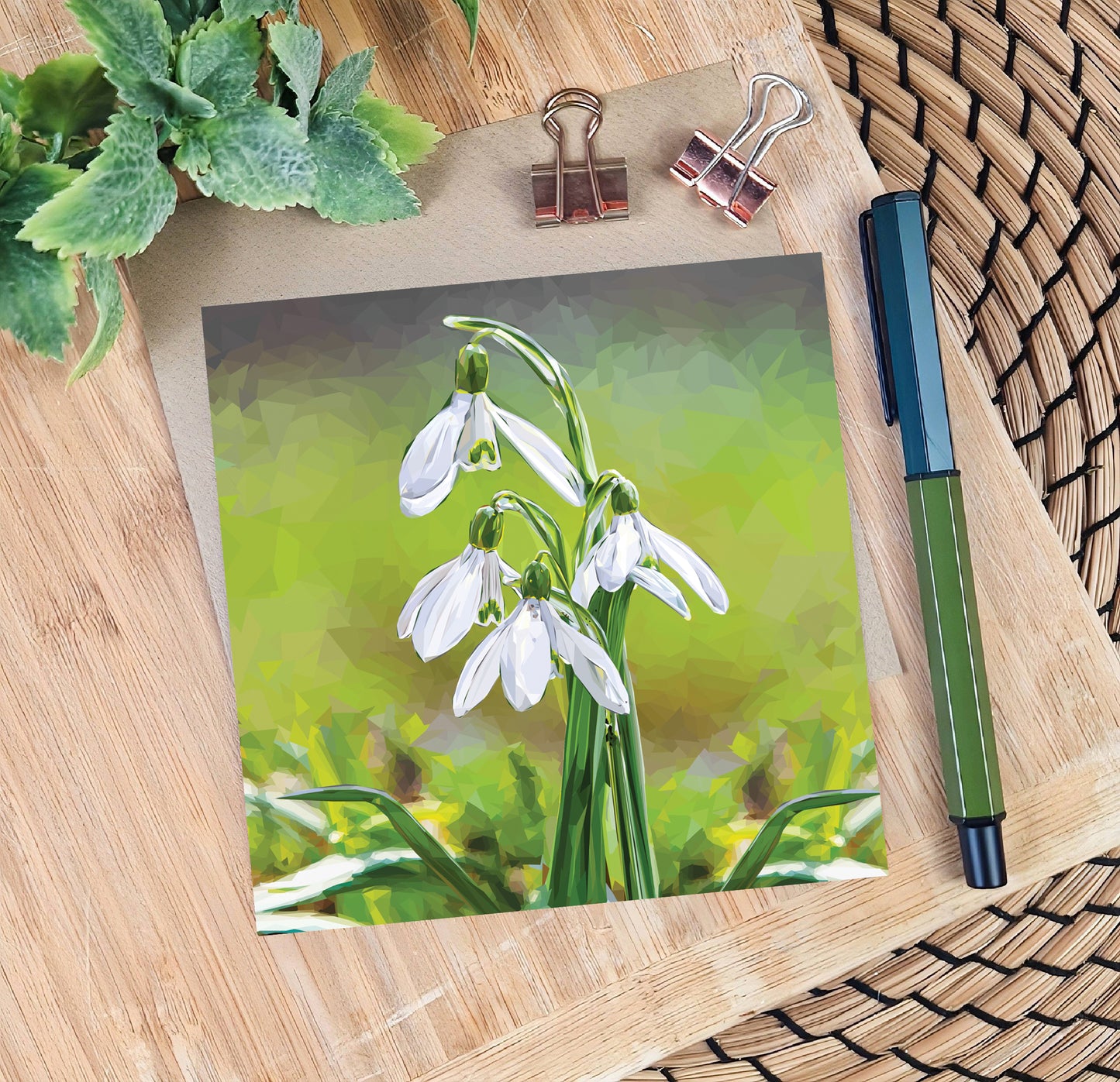 Snowdrop flower illustration | Blank greeting card | Art card