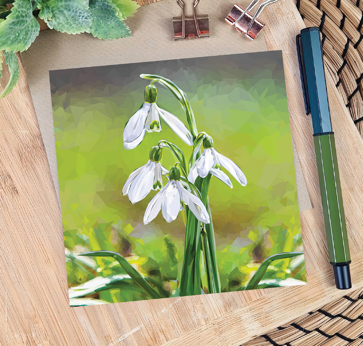 Snowdrop flower illustration | Flower seed greeting card | Art card