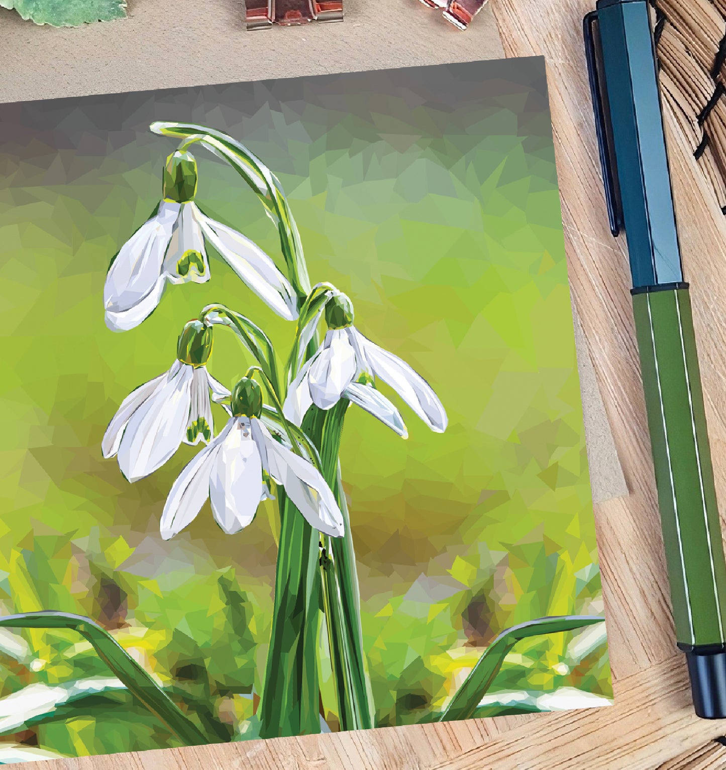 Snowdrop flower illustration | Blank greeting card | Art card