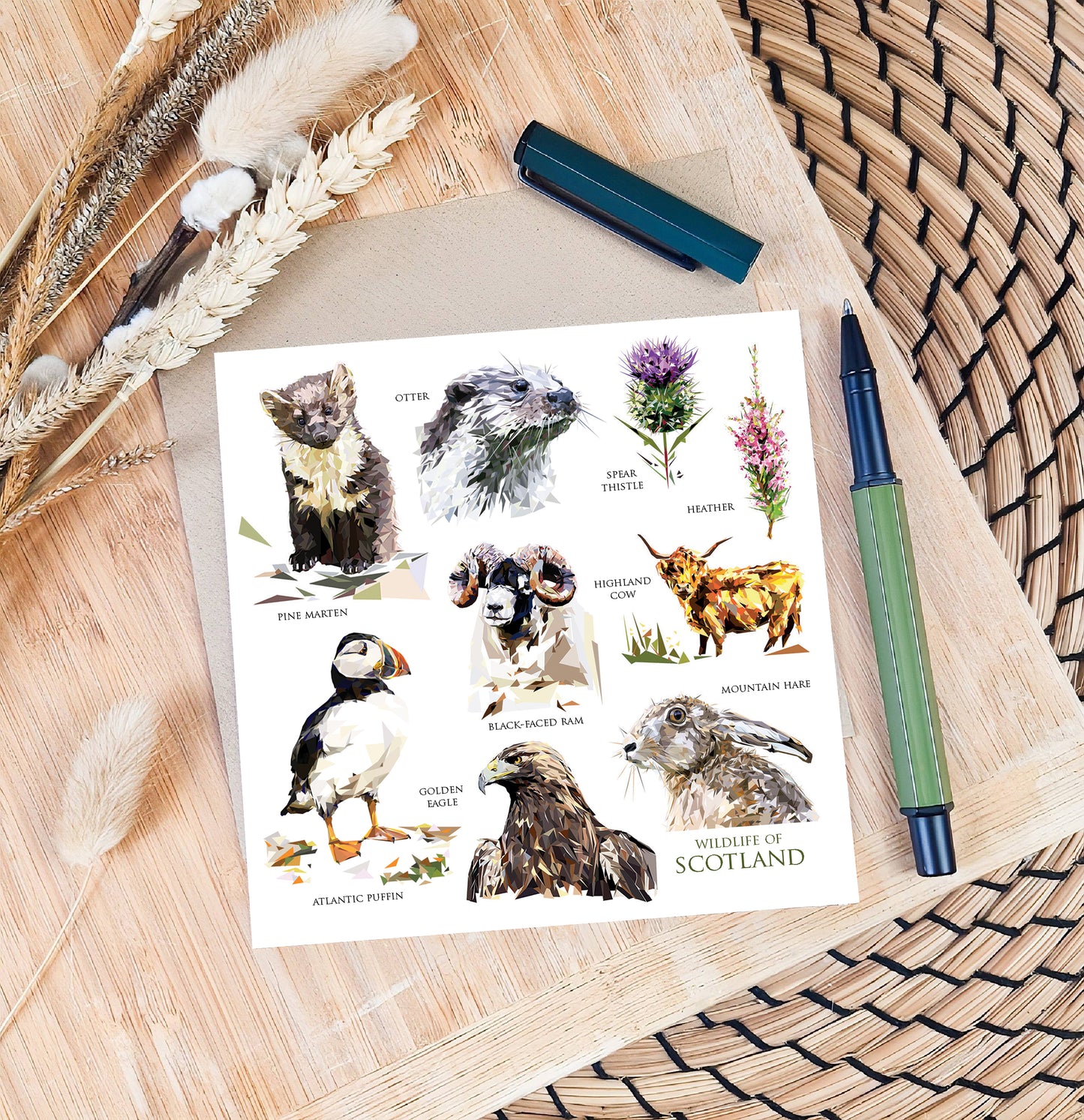Wildlife of Scotland illustration | Blank greeting card | Scottish art card