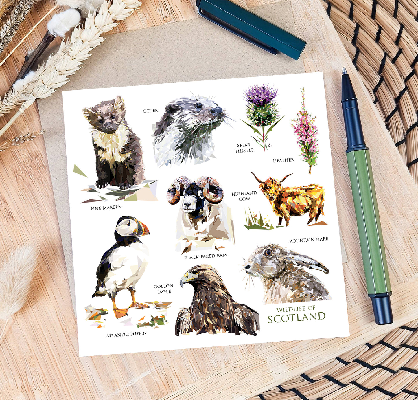 Wildlife of Scotland illustration | Blank greeting card | Scottish art card