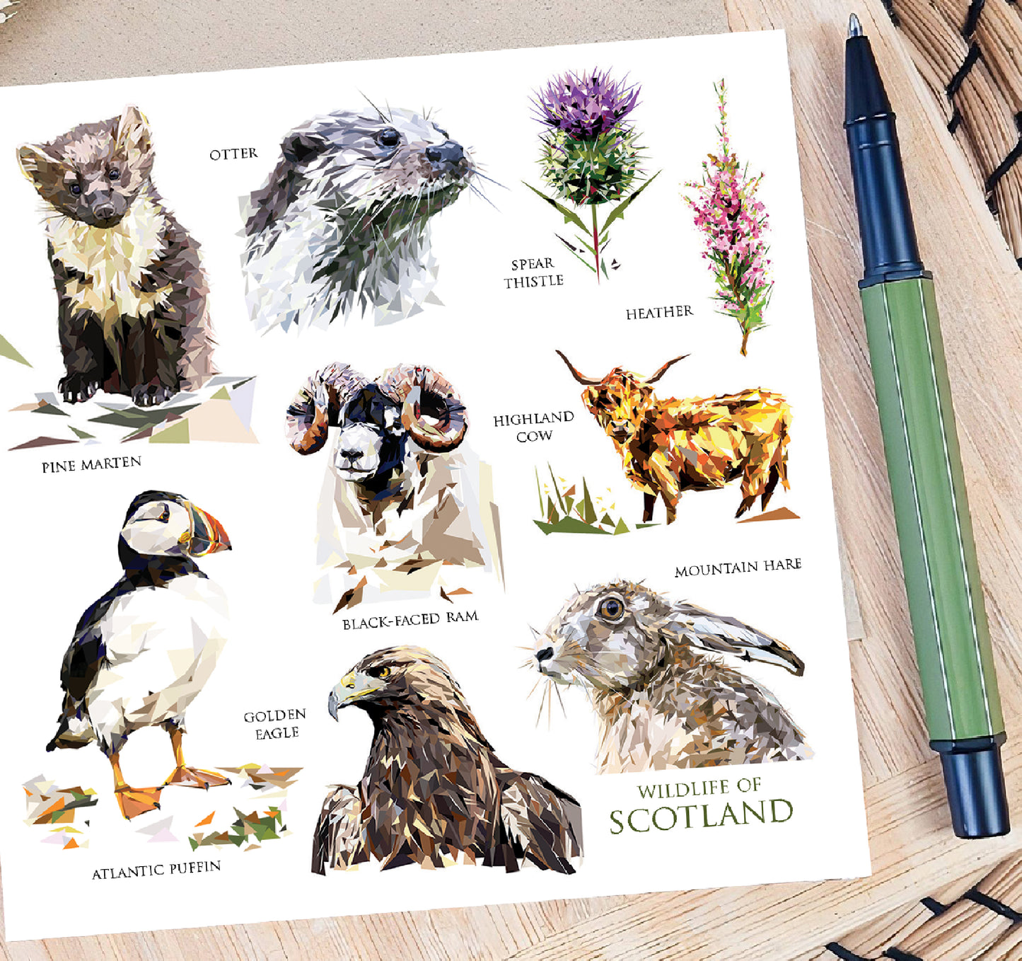 Wildlife of Scotland illustration | Blank greeting card | Scottish art card