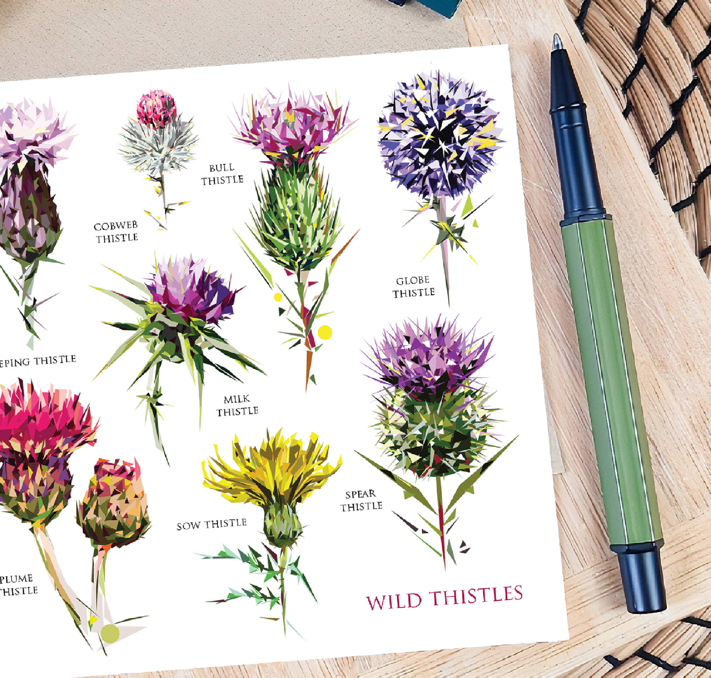 Wild thistles illustration | Blank greeting card | Scottish art card