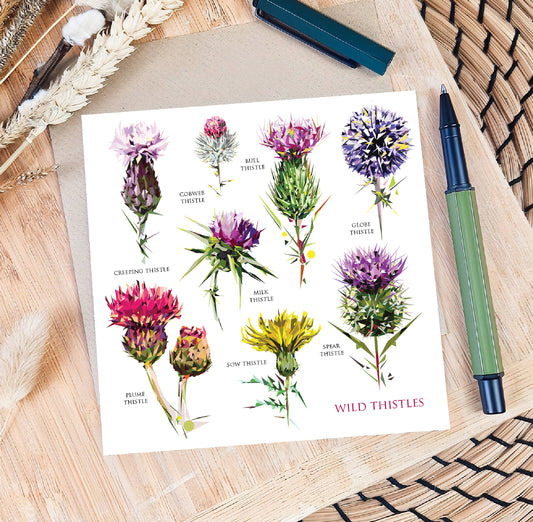 Wild thistles illustration | Blank greeting card | Scottish art card