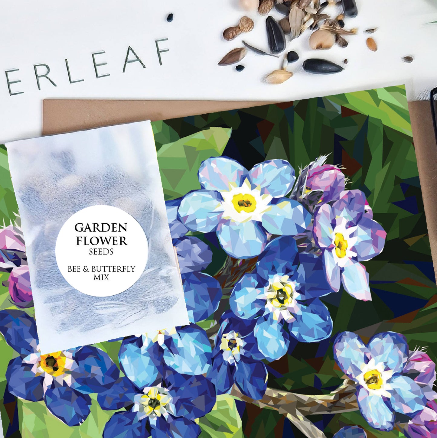 Forget-me-not flower illustration | Flower seed greeting card | Art card