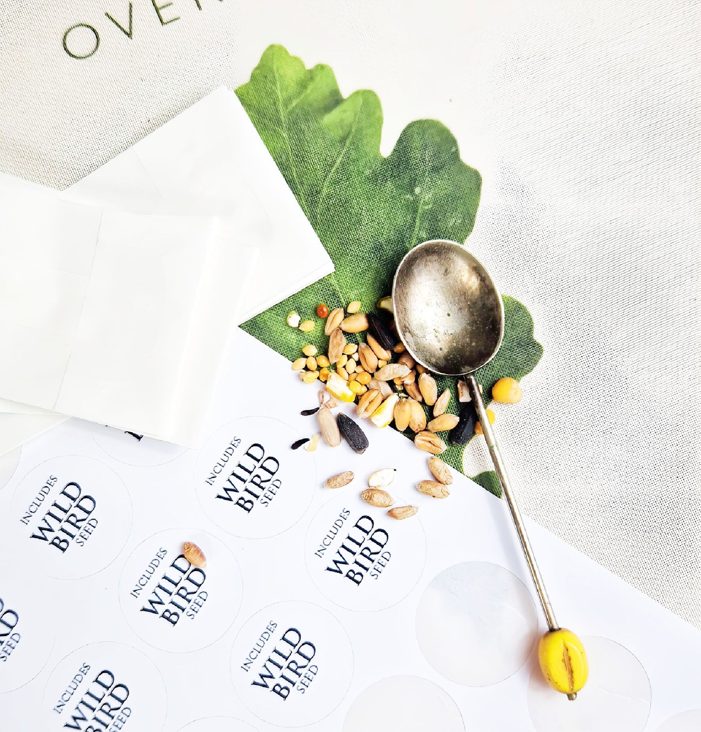 Nuthatch bird illustration | Bird seed greeting card | Art card