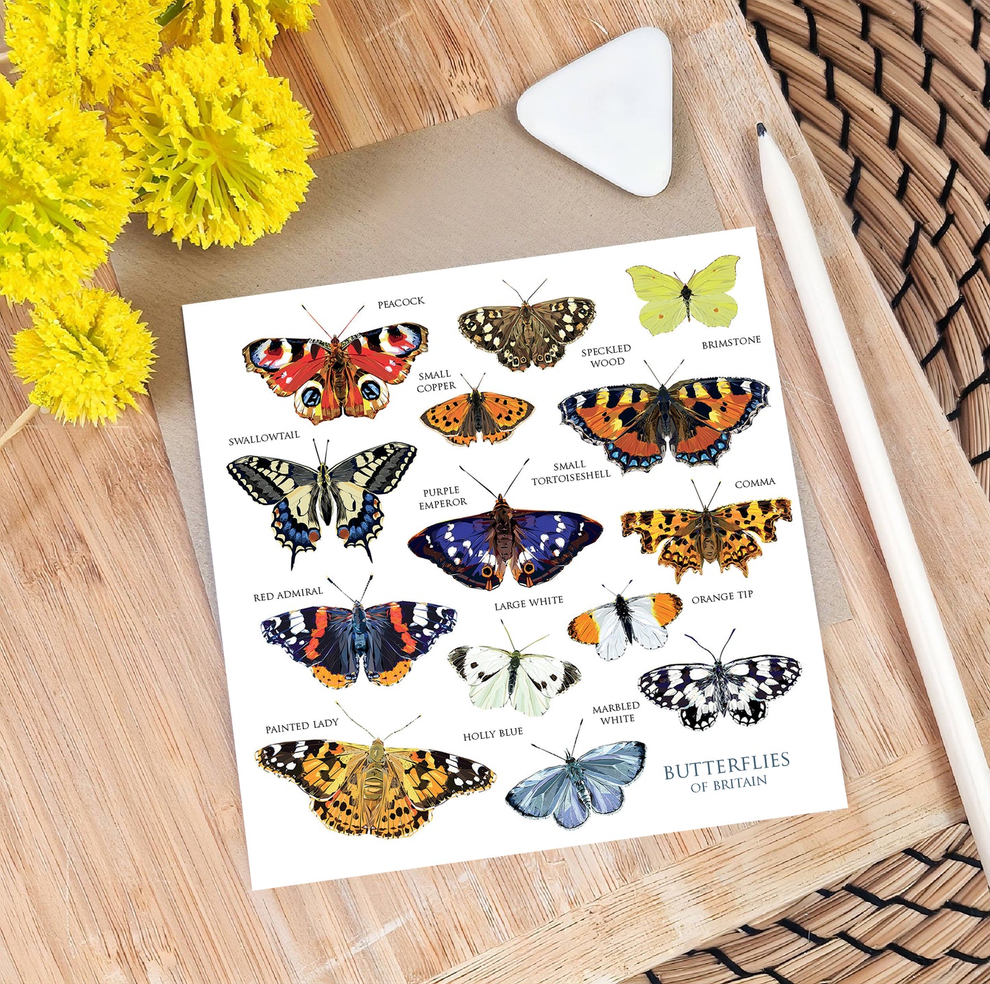 Butterflies of Britain illustration | Blank greeting card