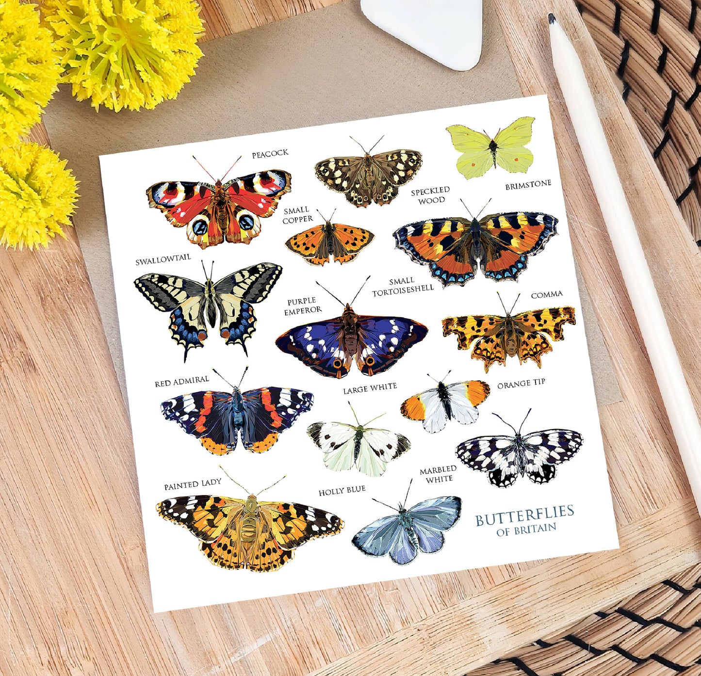 Butterflies of Britain illustration | Blank greeting card