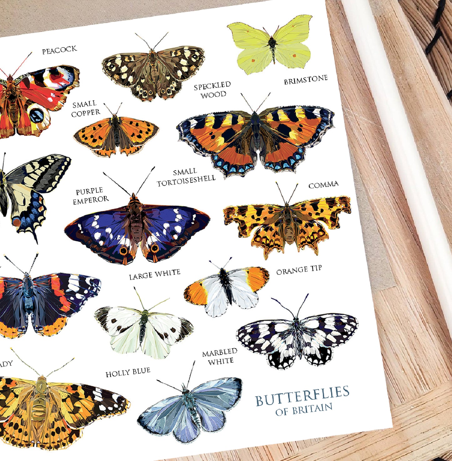 Butterflies of Britain illustration | Blank greeting card