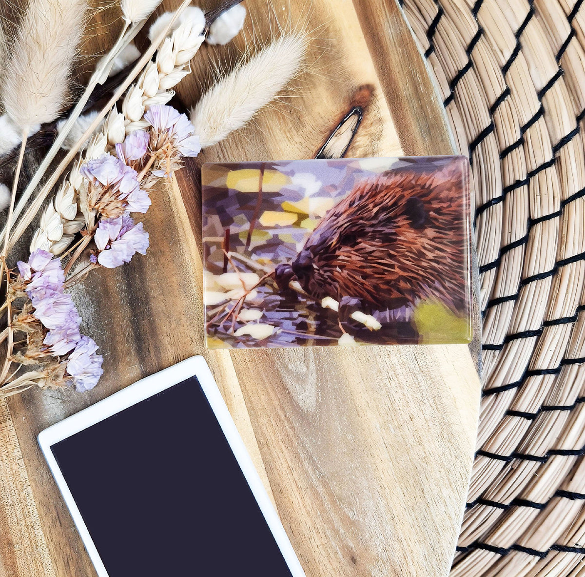 Beaver illustration | Ceramic fridge magnet | Scottish wildlife