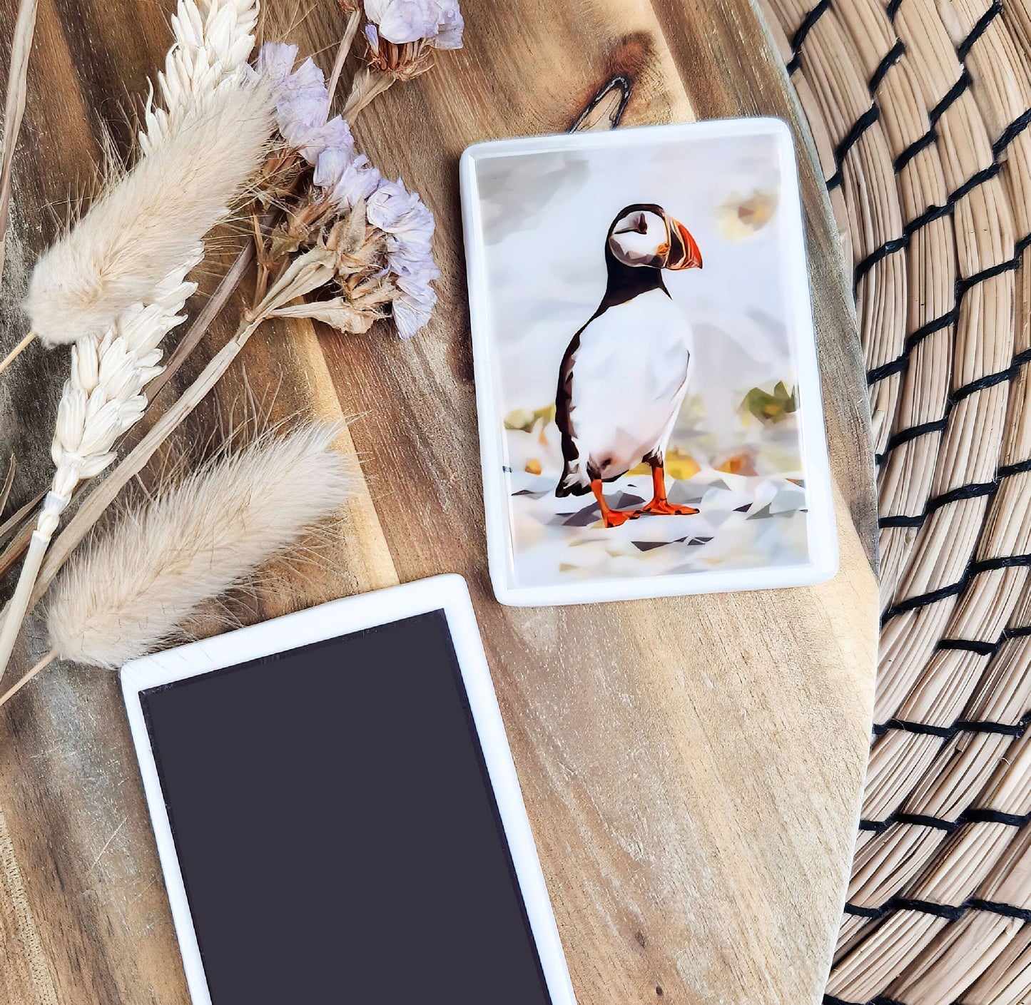 Atlantic puffin bird illustration | Ceramic fridge magnet | Coastal birds