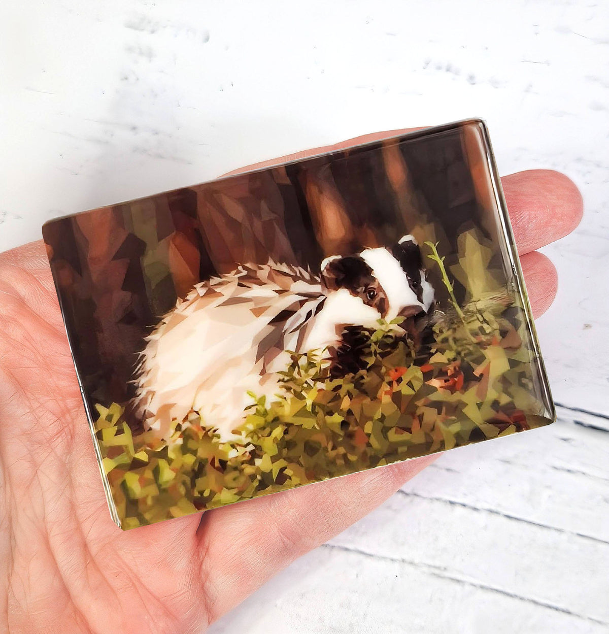 Badger illustration | Ceramic fridge magnet | British wildlife