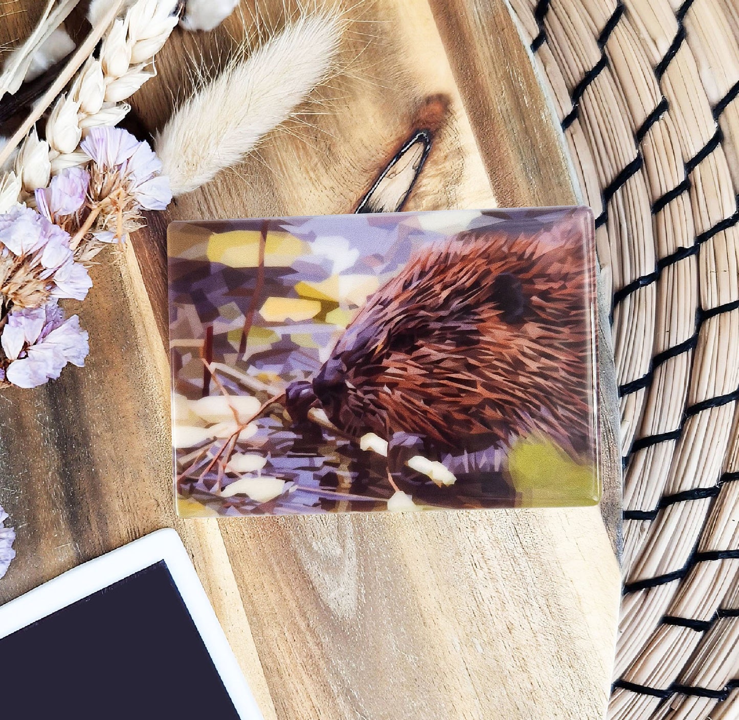 Beaver illustration | Ceramic fridge magnet | Scottish wildlife