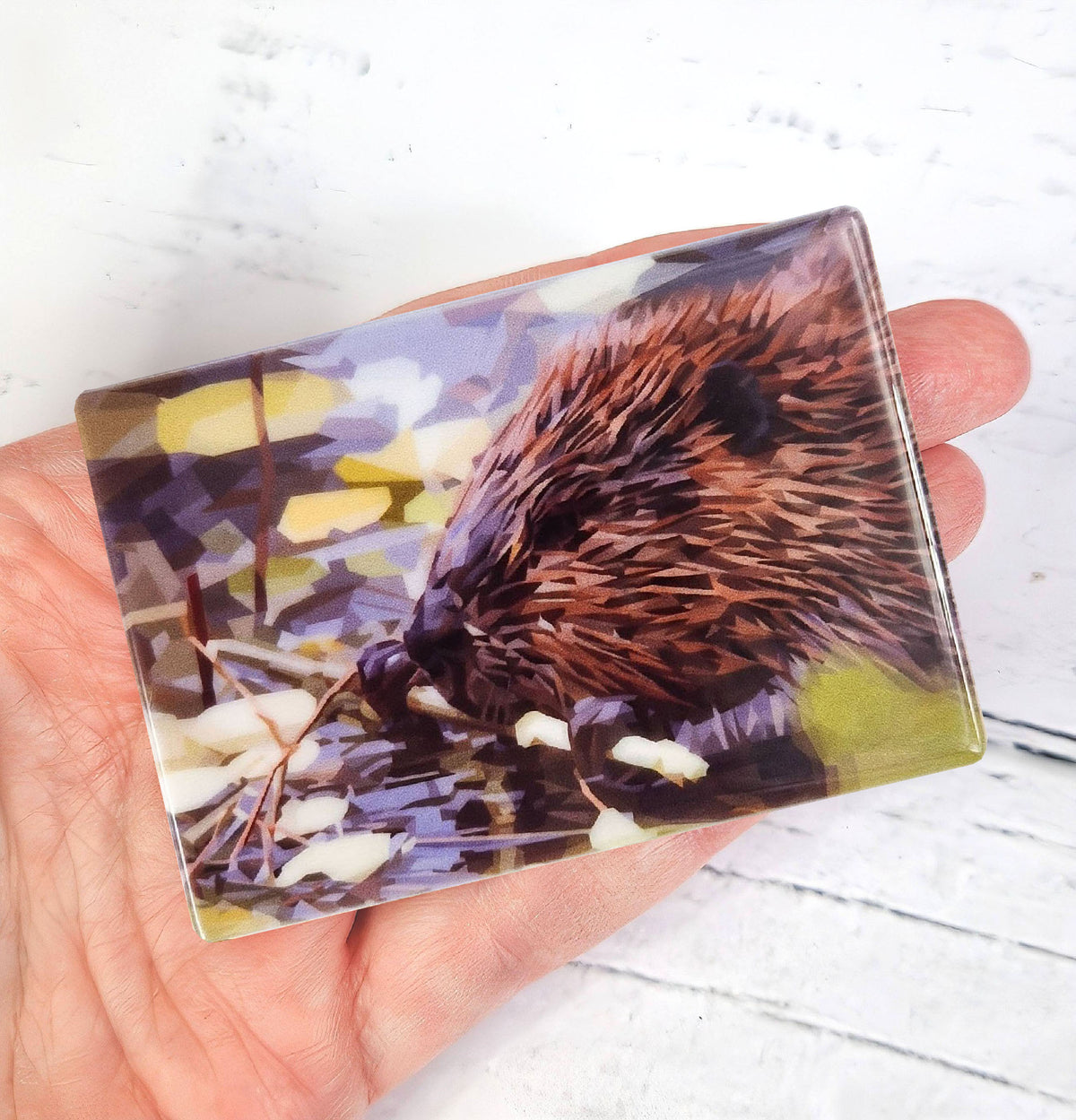 Beaver illustration | Ceramic fridge magnet | Scottish wildlife