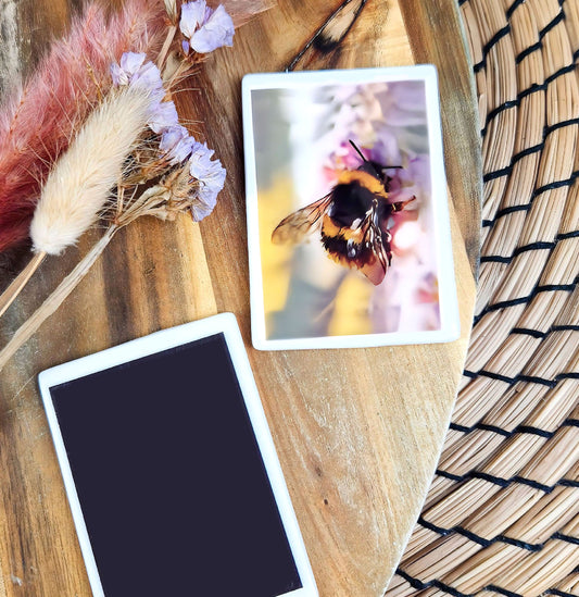 Buff-tailed bumblebee illustration | Ceramic fridge magnet | British gardens