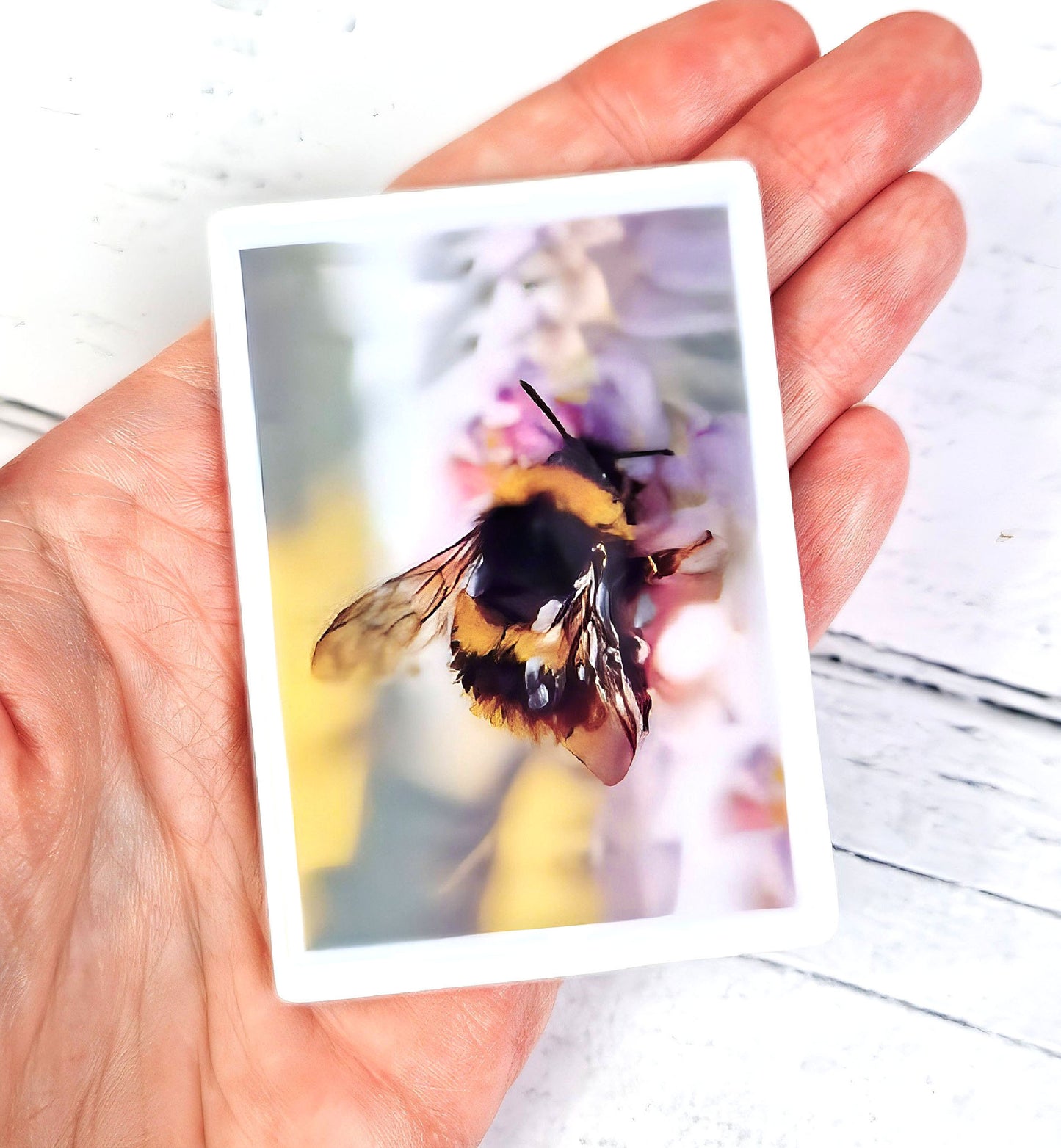 Buff-tailed bumblebee illustration | Ceramic fridge magnet | British gardens