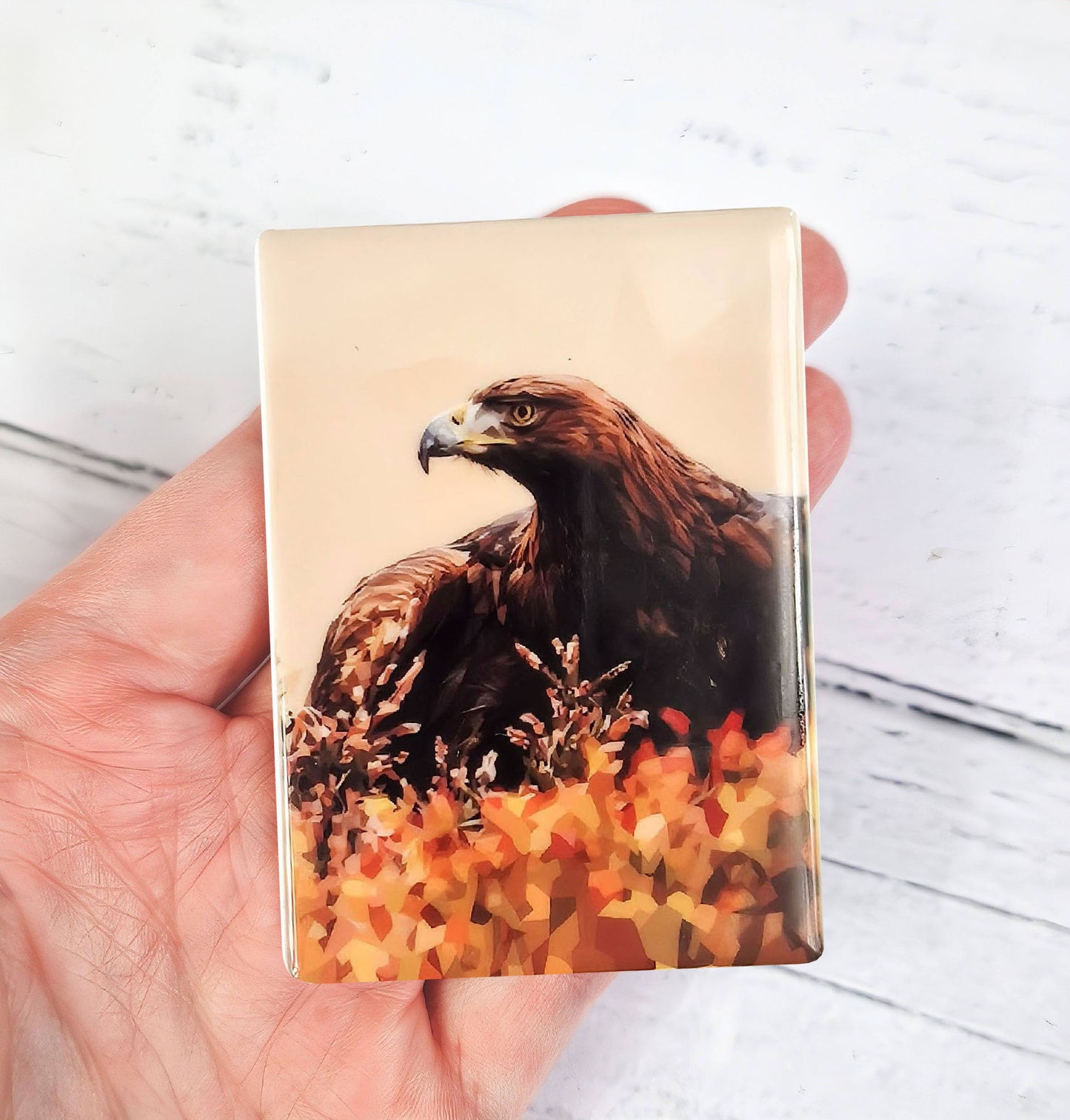 Golden eagle illustration | Ceramic fridge magnet | Scottish wildlife