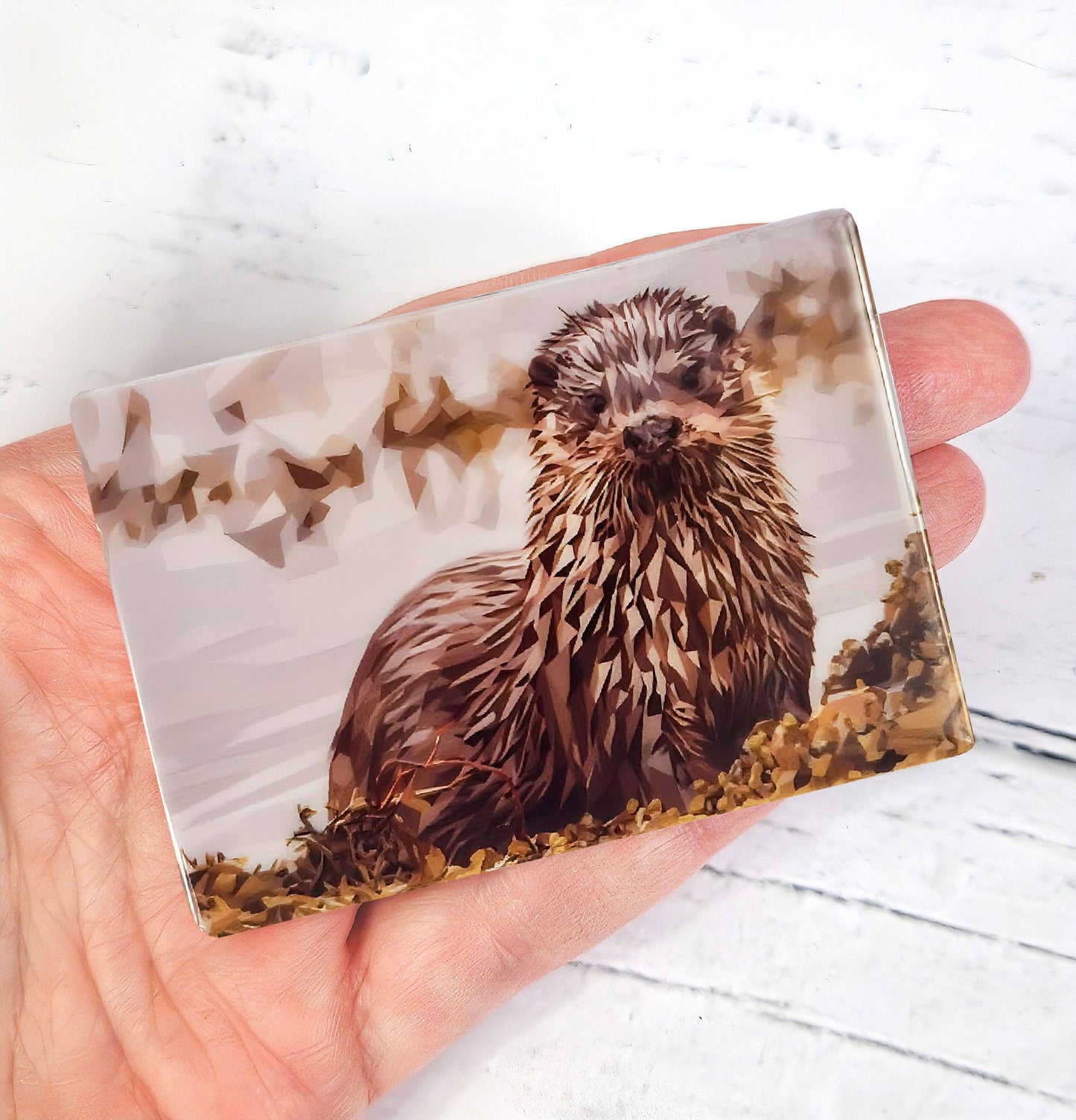 Otter illustration | Ceramic fridge magnet | Scottish wildlife