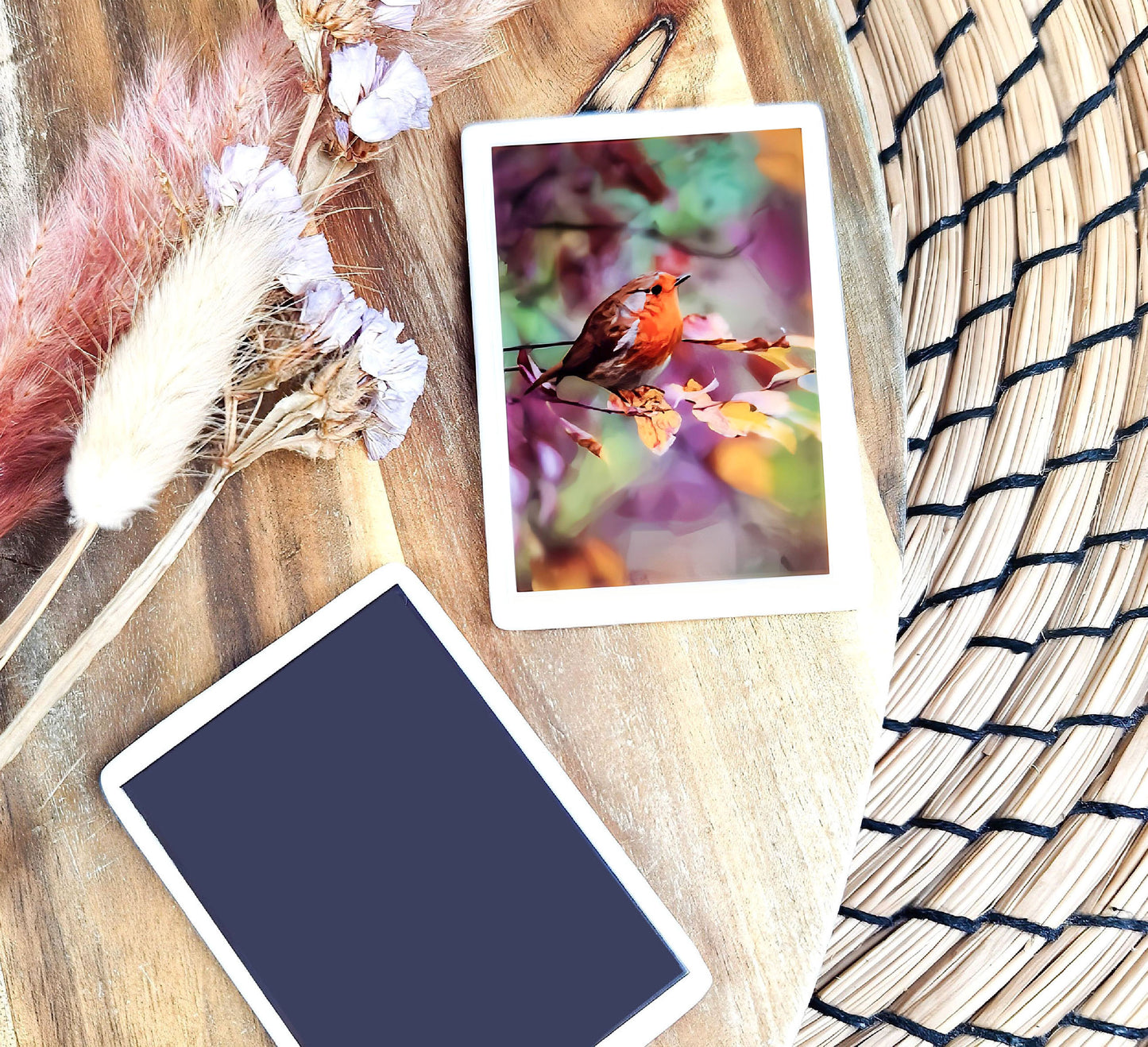 ROBIN REDBREAST bird illustration | Ceramic fridge magnet *NEW