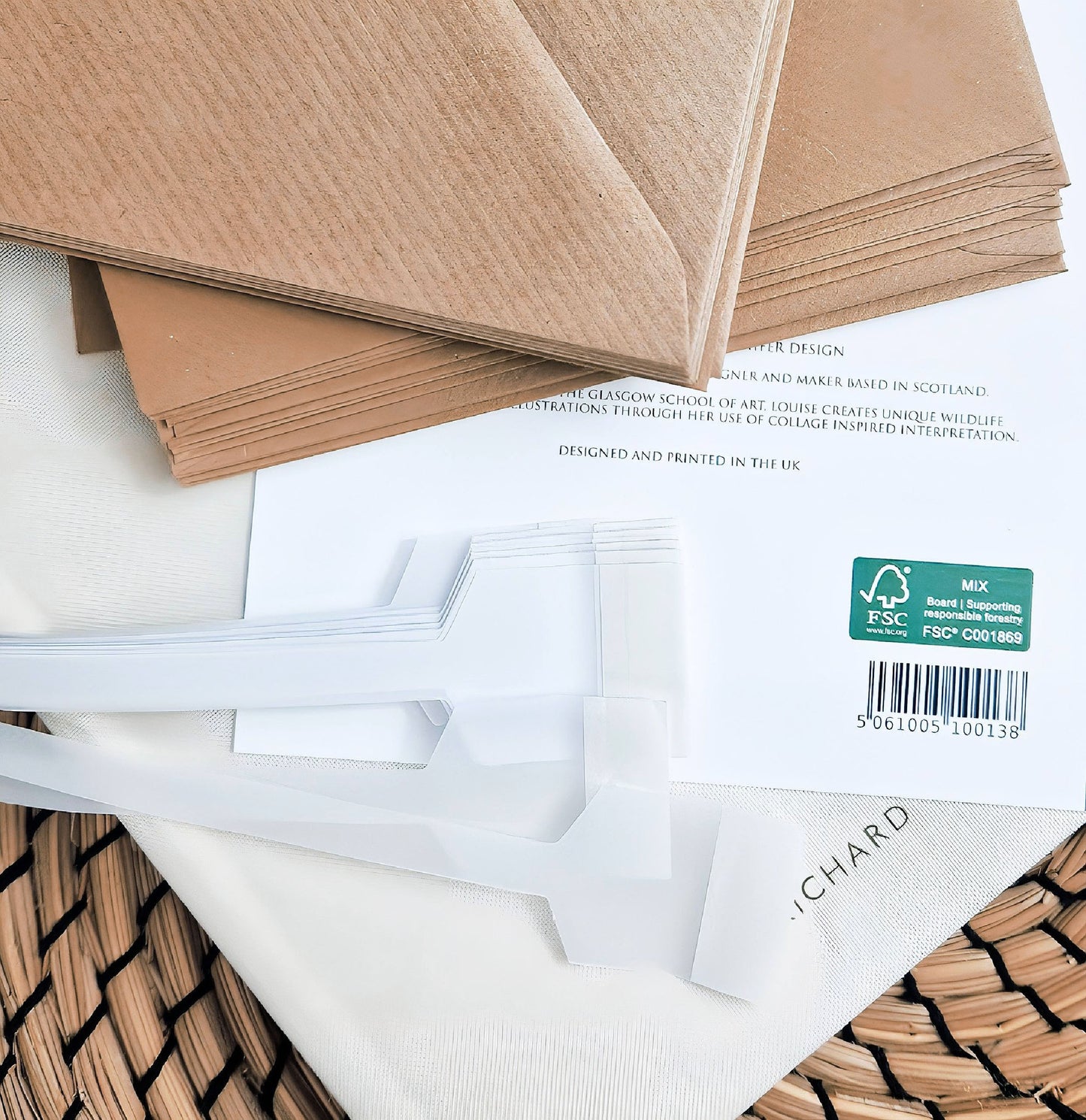 Tulip flowers illustration | Blank greeting card | Art card