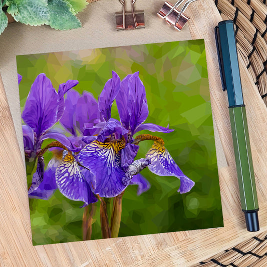 Iris flower illustration | Blank greeting card | Art card