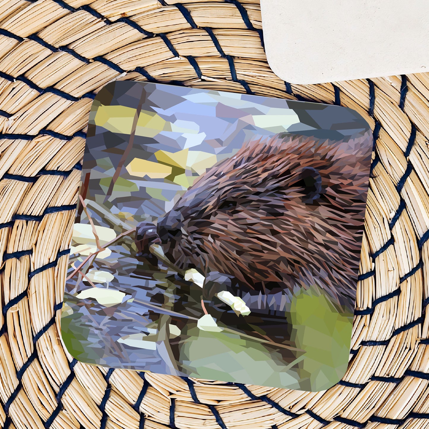 Beaver drinks coaster | Geometric illustration | British animals