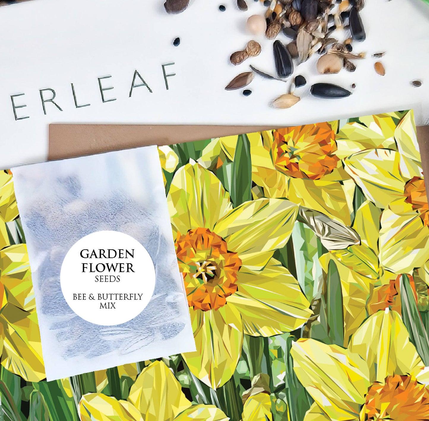 Daffodil flower illustration | Flower seed greeting card | Art card