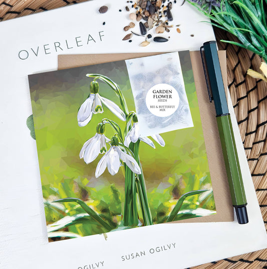 Snowdrop flower illustration | Flower seed greeting card | Art card