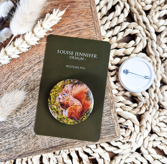 Red squirrel illustration | Mini pin badge | Woodland creatures
