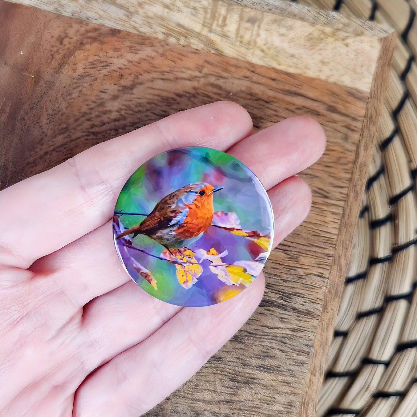 Robin illustration | Mini pin badge| Garden birds