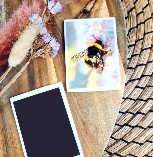 Buff-tailed bumblebee illustration | Ceramic fridge magnet | British gardens