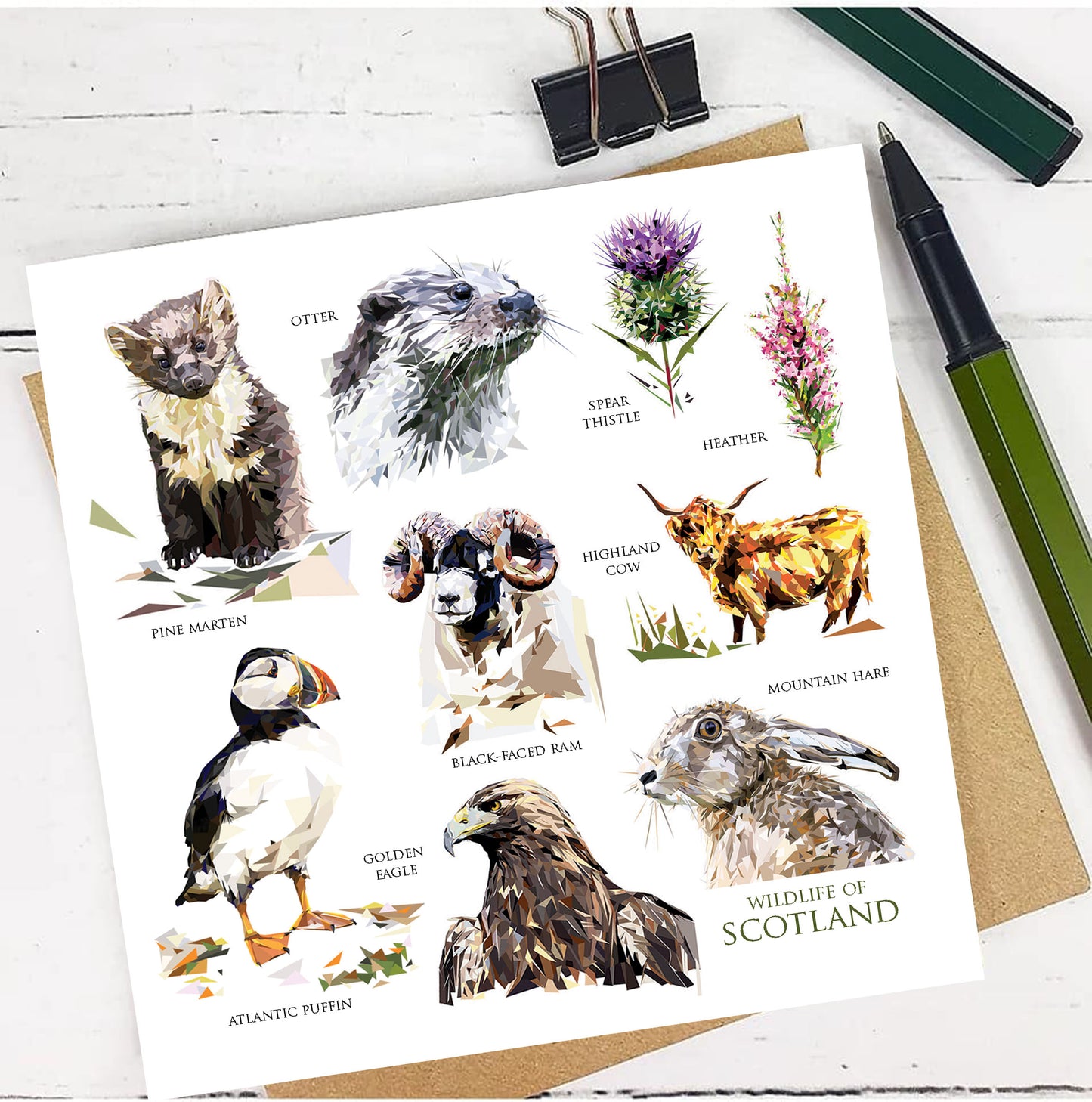 WILDLIFE OF SCOTLAND greeting card