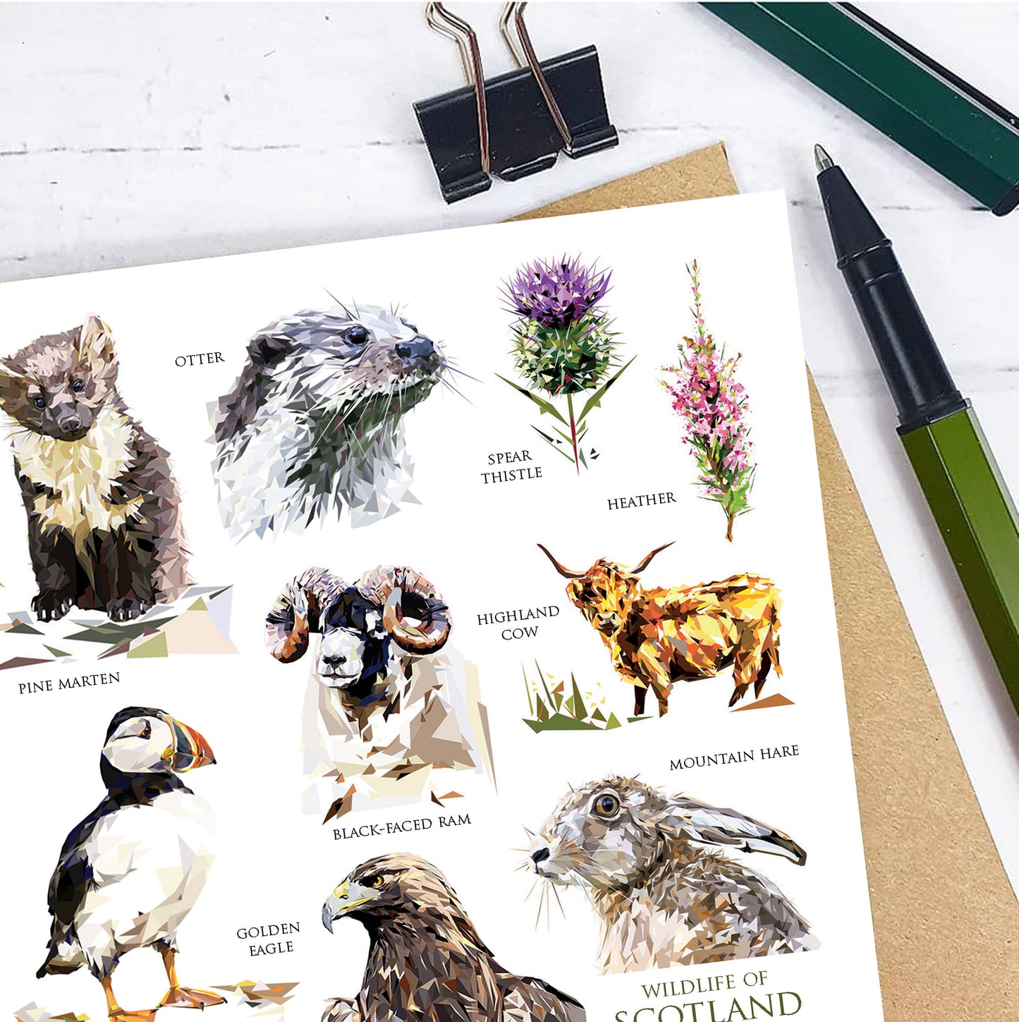 WILDLIFE OF SCOTLAND greeting card